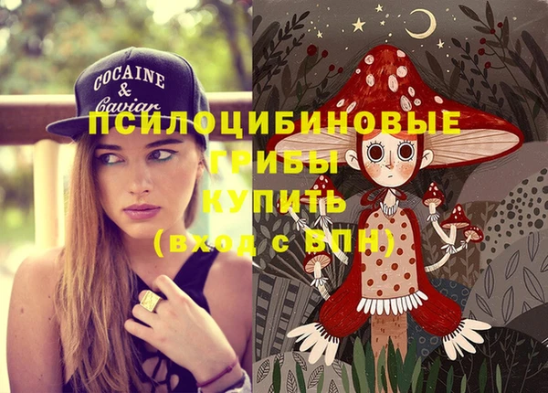 а пвп мука Алзамай