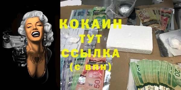 а пвп мука Алзамай