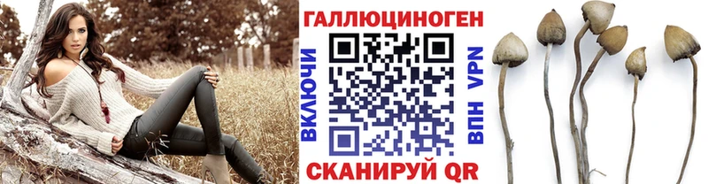 Псилоцибиновые грибы мицелий  магазин    omg ссылка  Дюртюли 